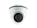 RN-IP-20S022 (встр. микрофон)